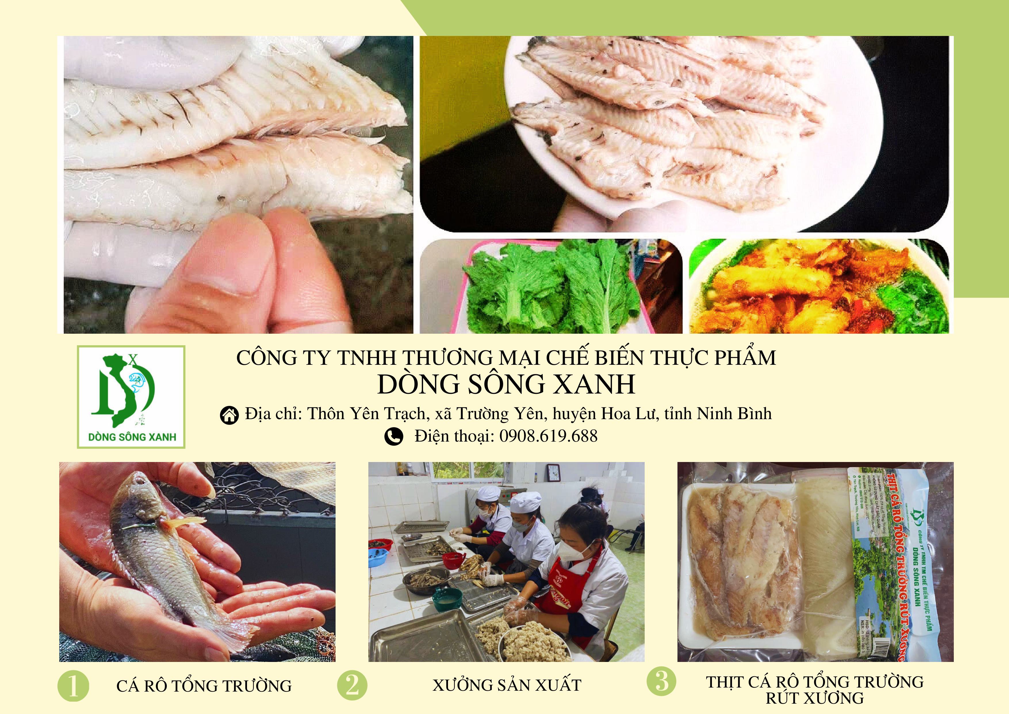 Công ty TNHH thương mại chế biến thực phẩm Dòng sông xanh